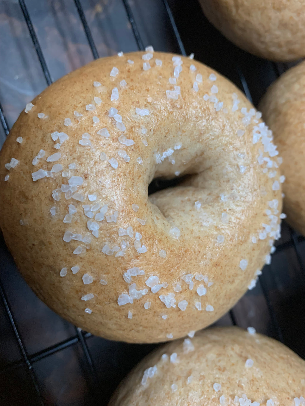 New York Style Bagels 1 Dozen