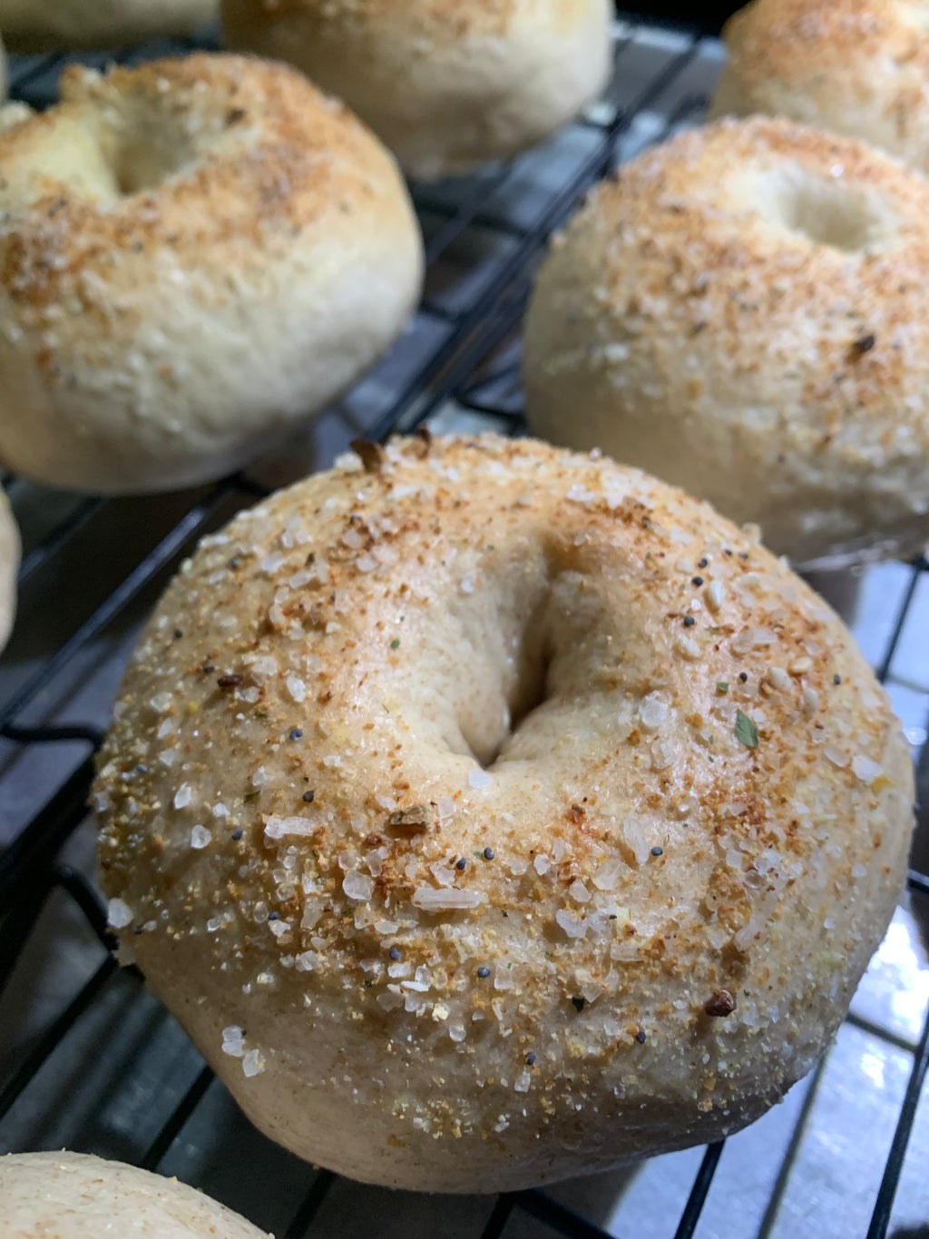 New York Style Bagels 1 Dozen